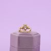 Dominick's Engagement Ring 1