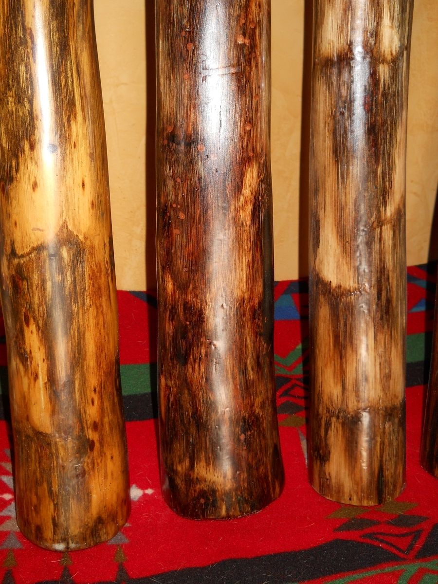 Custom Agave Didgeridoo Didjeridu by Dancing Cedar Woodworks