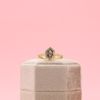 Holly's Engagement Ring 4