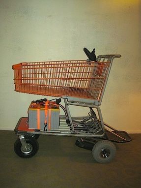 Custom Made Freak Utility Carts - Fun Motorized Shopping Carts