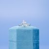Lisa's Engagement Ring 4