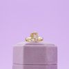Katelynn's Engagement Ring 1