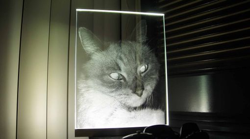 Custom Made Pet Portrait Led Illuminated Glass Etching Night Display / Lamp (Any Image)