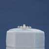 Cami's Engagement Ring 5
