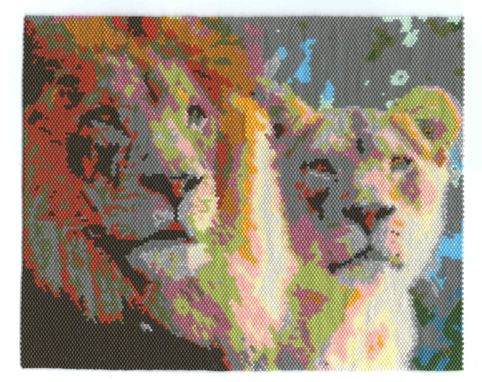 Custom Made Lion And Lioness Animal Portrait