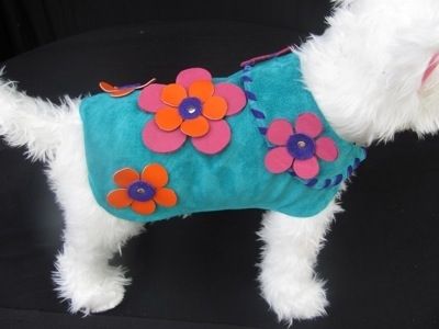 Custom Made Flower Power 60'S Suede Dog Clothes Or Collar