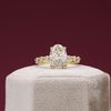 Pete's Engagement Ring 5