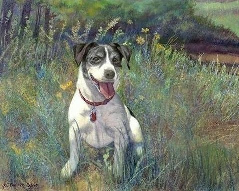 Custom Made Spot, Self-Actualized (Dog Portrait) Mixed Media By Dru Marie Robert (8