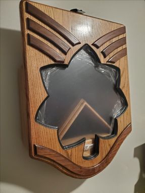 Custom Made Usaf Enlisted To Officer Shadow Box