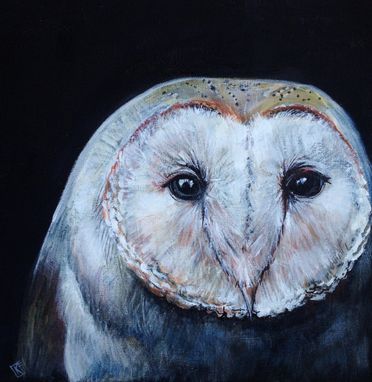 Custom Made Owl Acrylic Painting
