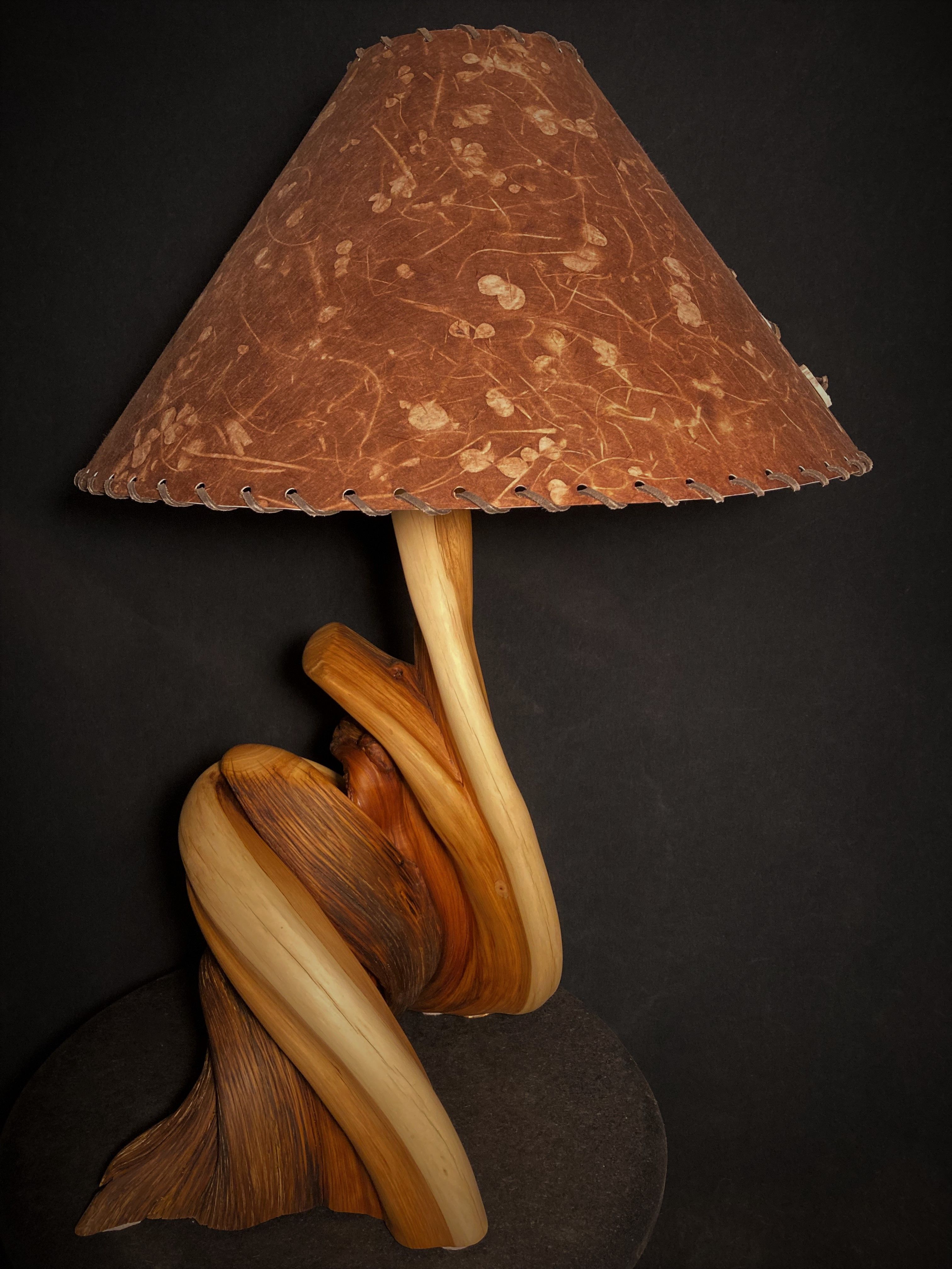 Hand Crafted Free Standing Rustic Twisted Juniper Table Lamp by Rocky