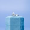 Lisa's Engagement Ring 5
