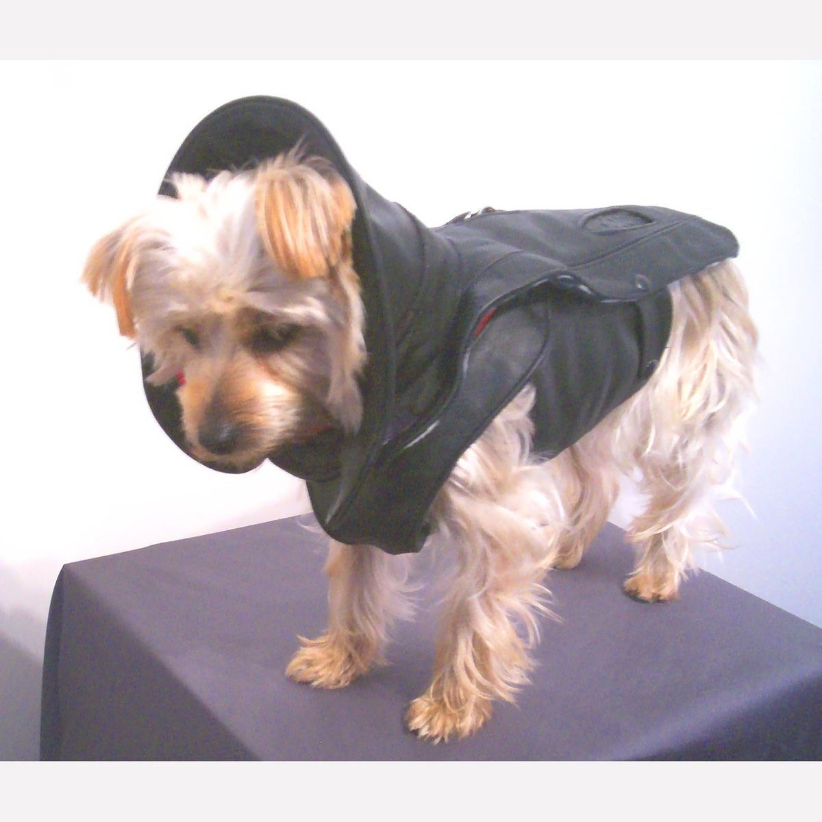 Hand Crafted Leather Dog Coat And Harness by Miguel and Co