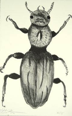 Custom Made "Beetle I" Lithograph