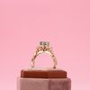 Kevin's Engagement Ring 2