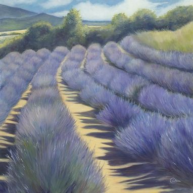 Custom Made Provence Lavender (Southern France) - Fine Art Print On Canvas, Stretched (30 X 30 X 1)