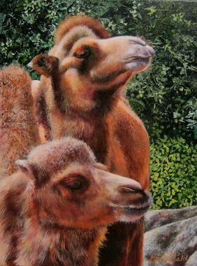 Custom Made Animal Painting - Acrylic On Canvas