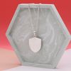 Shawn's Necklace 1