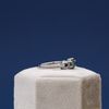 Desmon's Engagement Ring 5