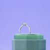 Caden's Engagement Ring 2