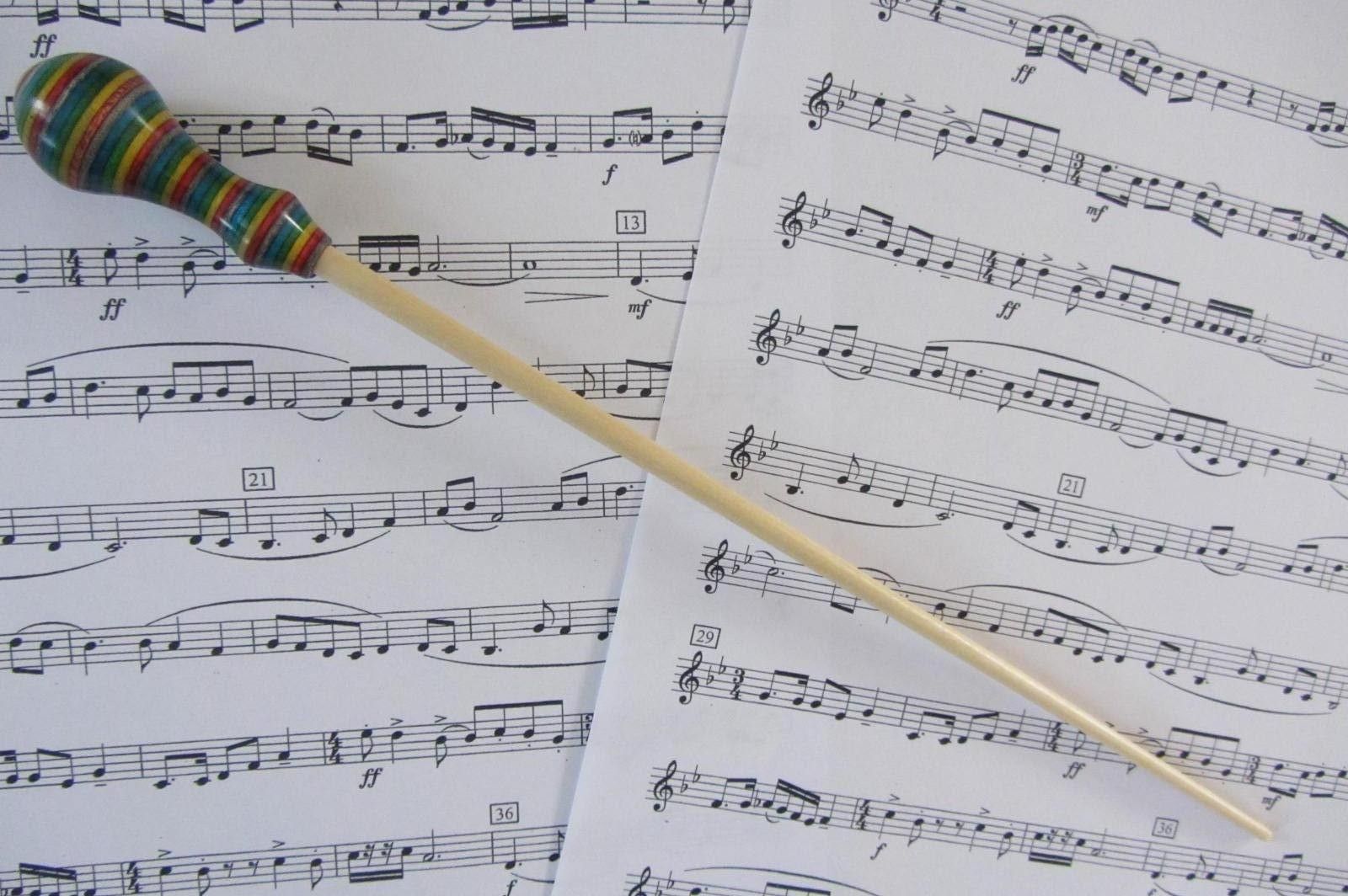 Custom Made Music Conductors Baton Handmade Spectra Ply Handle And