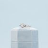 Nathan's Engagement Ring 4