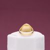 Norbert's Signet Ring 4