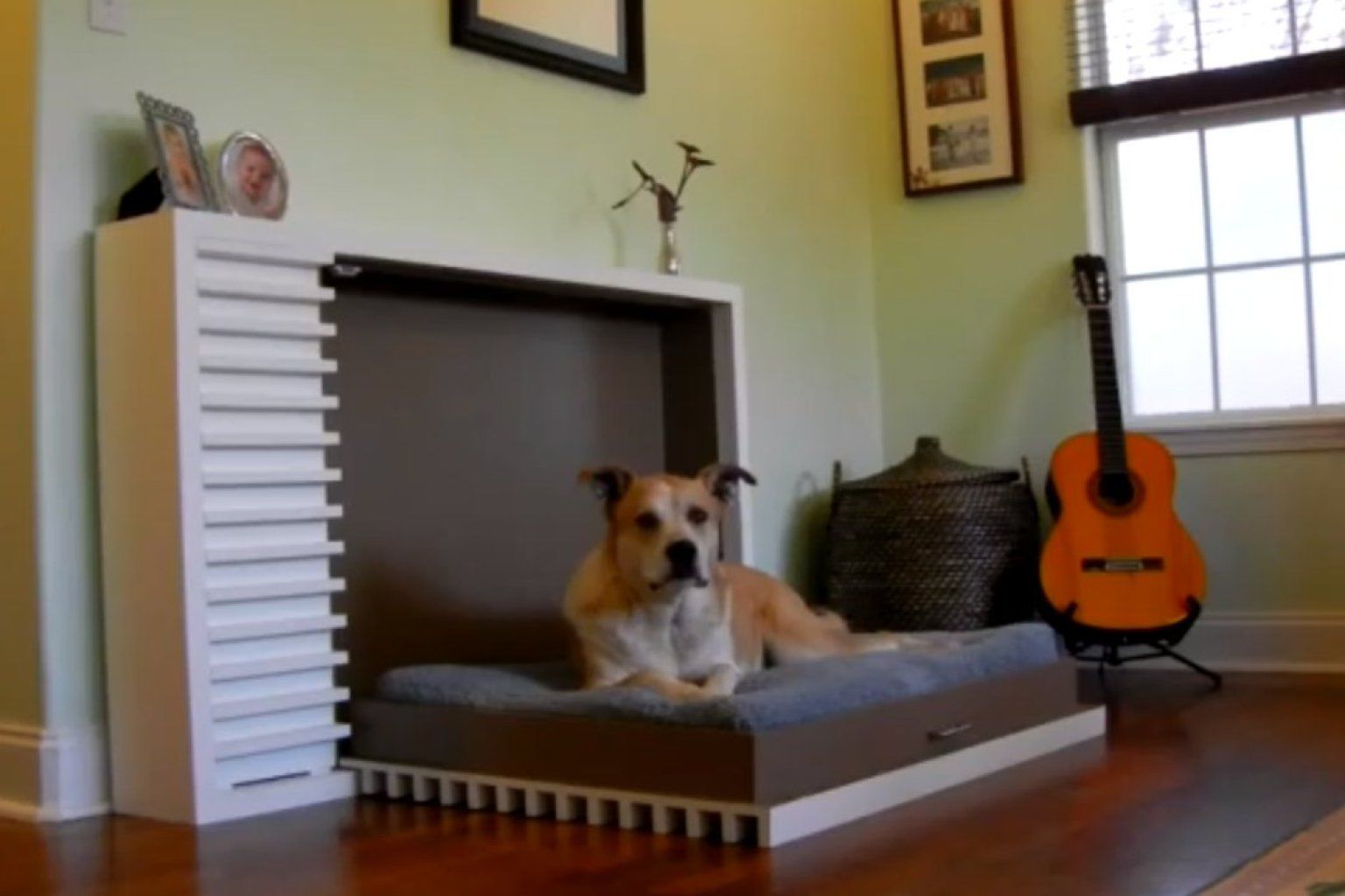 Custom Made Pet Murphy Beds by Kauffman Wallbeds & More LLC