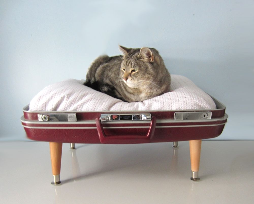 Hand Made Pet Beds Made From Vintage Luggage by Found Beauty Studio