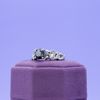 Lindsey's Engagement Ring 4