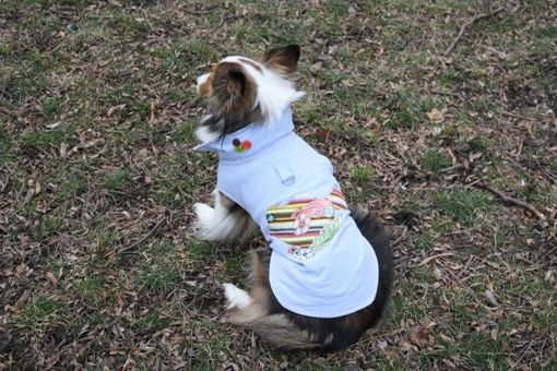 Custom Made Adorable Upcycled Bird And Buttons Dog Jean Jacket - Made To Order