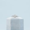 Nathan's Engagement Ring 5