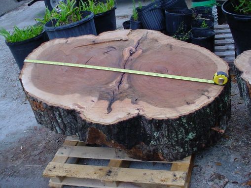 Custom Made Cypress Slabs, Oak Slabs Natural Tree Trunk Shapes