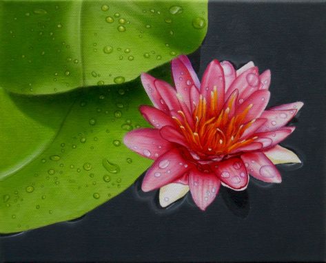 Custom Made Original Jason M Silverman Flower Or Floral Paintings In Oil
