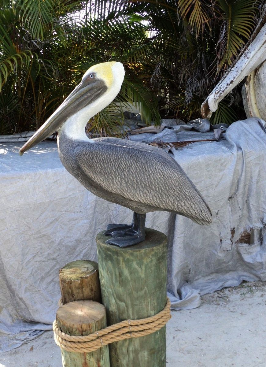 Hand Crafted Life Size Pelican Sculptures By Chris Dixon Studios