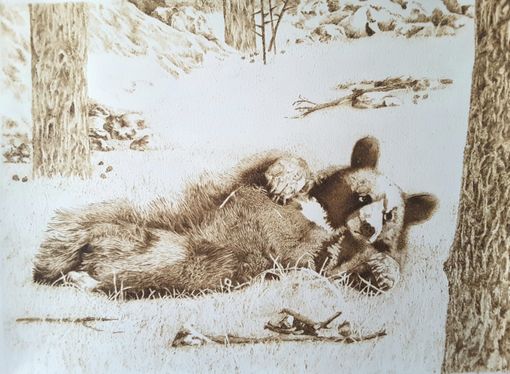 Custom Made Bearly Awake Pyrography On Watercolor Paper