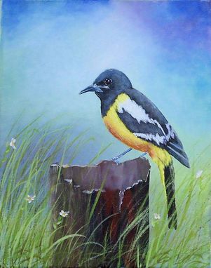 Custom Made Bird Painting, Wildlife Painting: Arizona Native Bird, Scott's Oriole, Acrylic On Canvas
