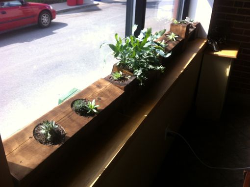 Custom Made Wooden Succulent Containers