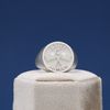 Repeat of Joe's Pendant and Signet Ring 2