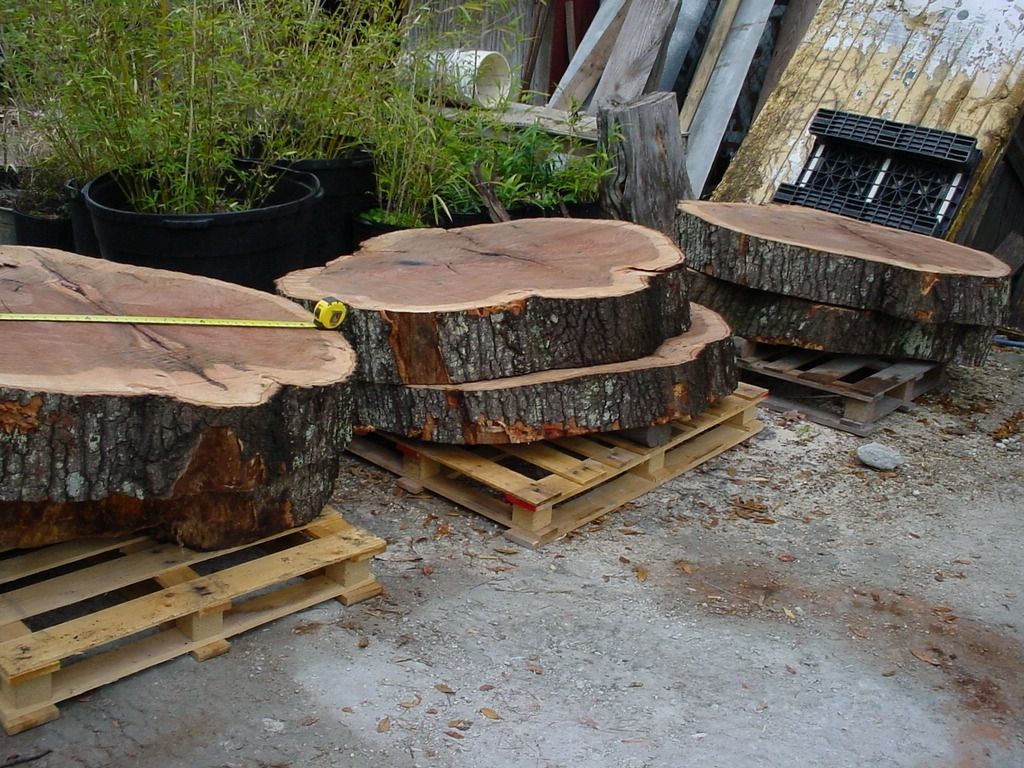 Custom Made Cypress Slabs, Oak Slabs Natural Tree Trunk Shapes by Tangi