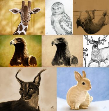 Custom Made Animal Collage.  Drawings And Paintings