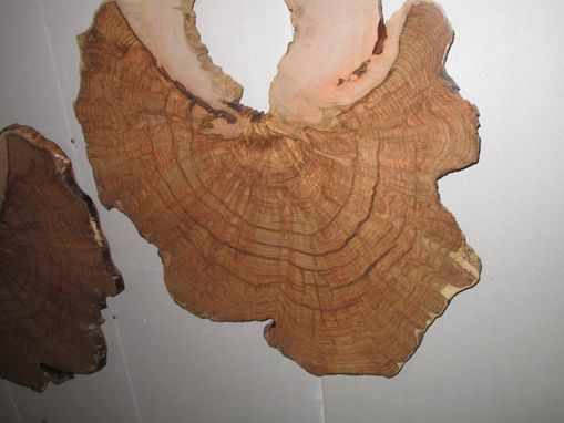 Custom Made 2 Maple Burls