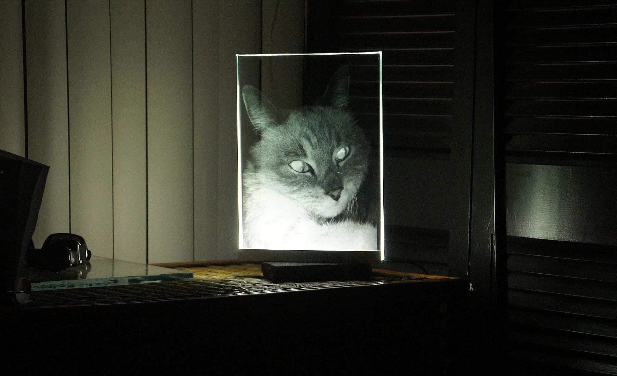 Custom Pet Portrait Led Illuminated Glass Etching Night Display / Lamp (Any Image) by Glassarium