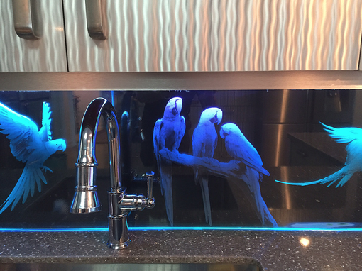 Custom Made 'Parrots' Theme Custom Etched Glass & Led Backsplash