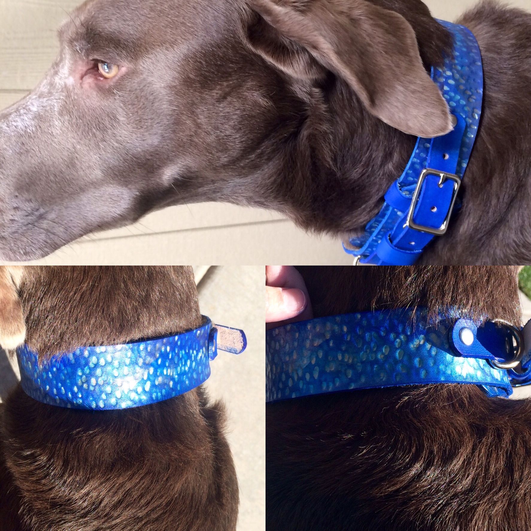 Buy Hand Made Bright Metallic Hammered Leather Ranger Style Dog Collars