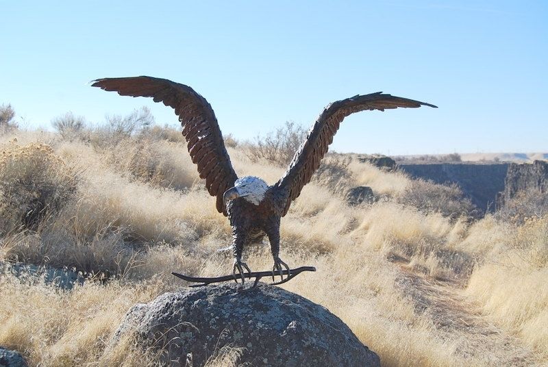 Handmade Life-Size Bald Eagle Metal Sculpture by Jacob Novinger