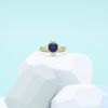 Dan's Engagement Ring 4