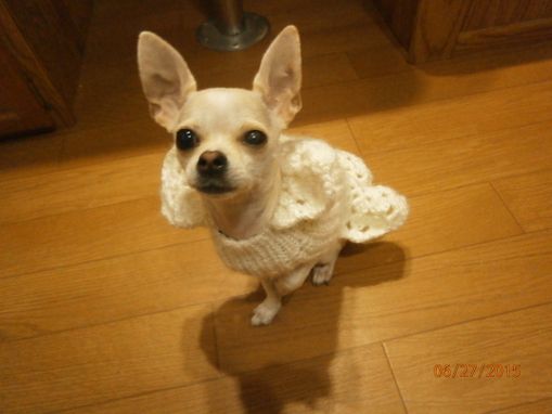 Custom Made Doggy Sweaters Teacup Chihuahua