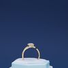 Sophie's Engagement Ring 1