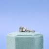 Braden's Engagement Ring 3
